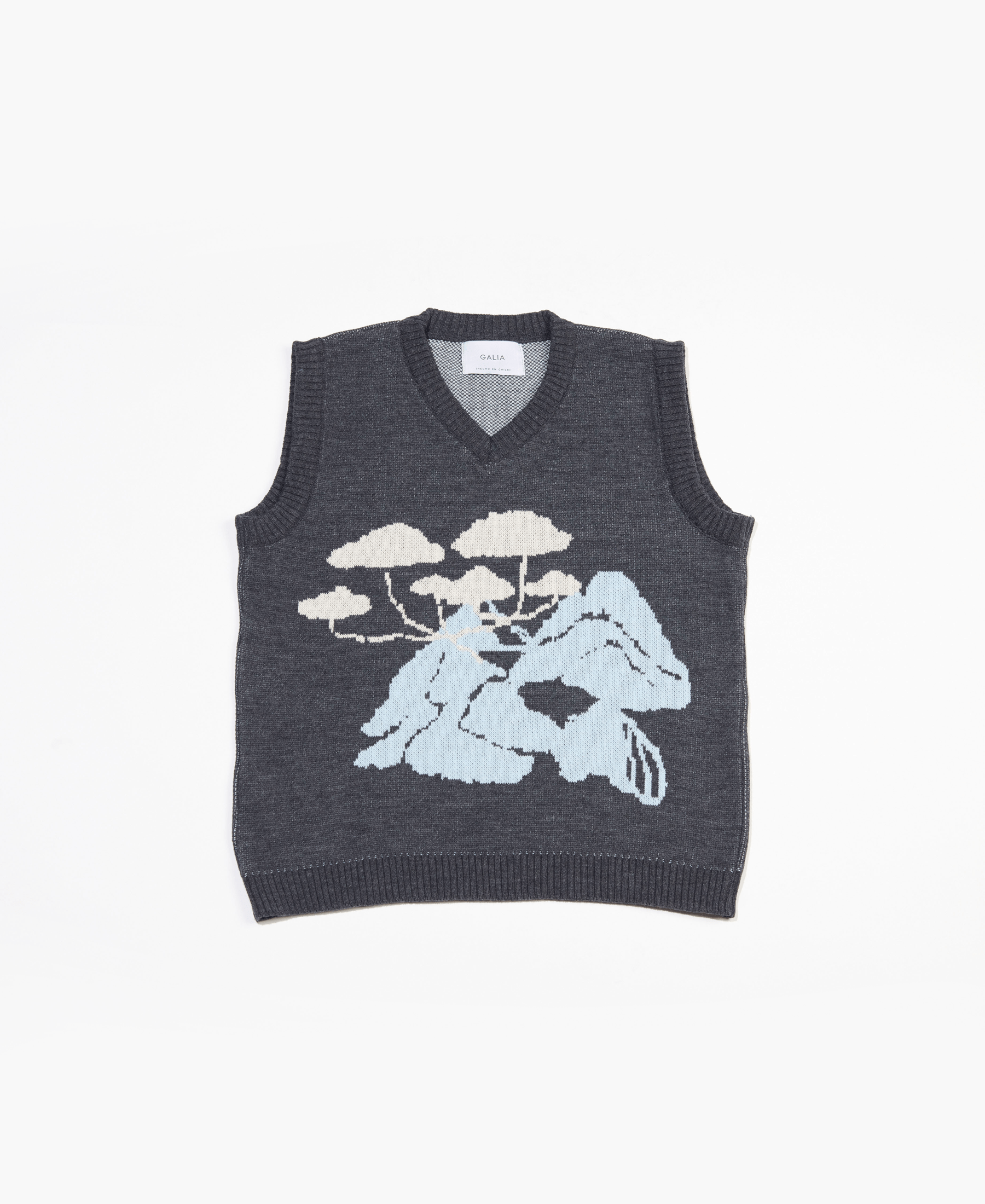 Vest Gris