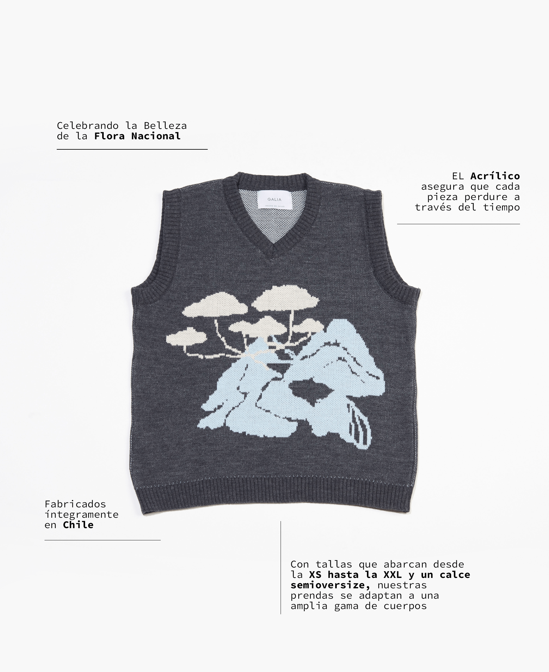 Vest Austral